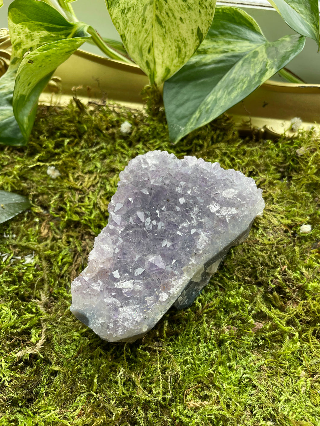 Amethyst Cluster