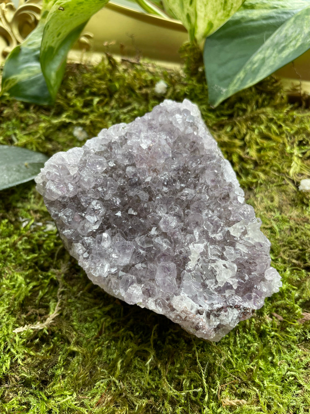 Amethyst Cluster