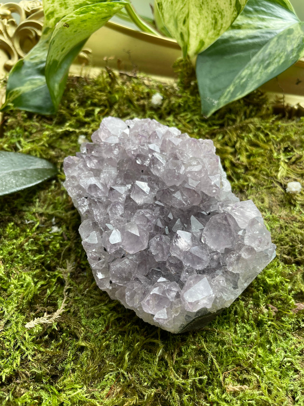 Amethyst Cluster