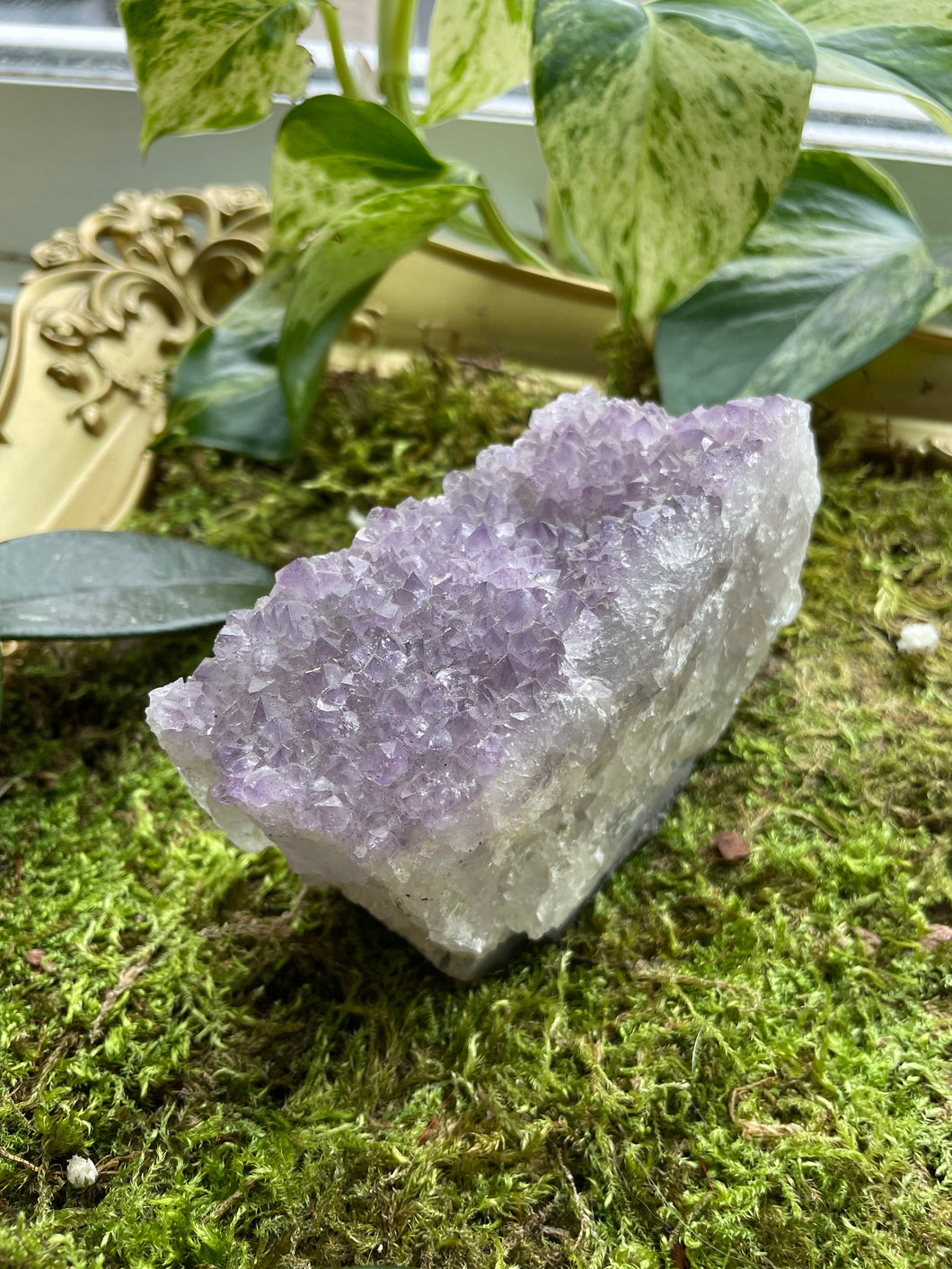 Amethyst Cluster